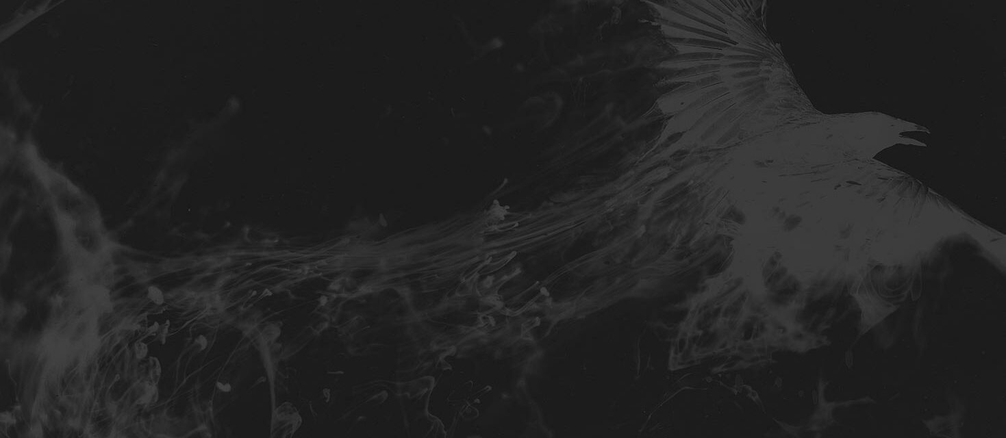 Un corbeau qui s'envole